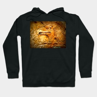 Hieroglyph Hoodie